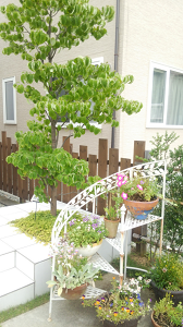 ユニテハウス芸科大前展示場_ガーデン